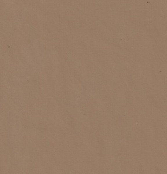 Image of MARIGOLD 19