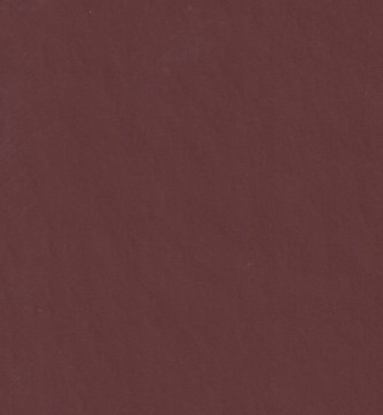 Image of MARIGOLD 31