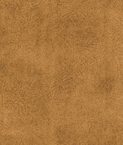 MARS 20