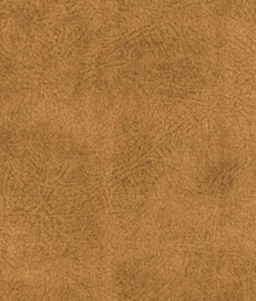 Image of MARS 20