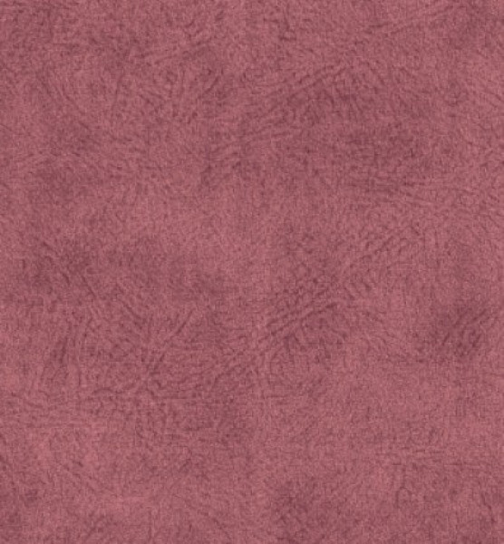 Image of MARS 6
