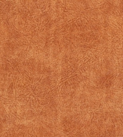 MARS 7