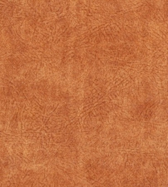 Image of MARS 7