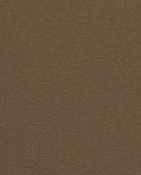 Image of MILA 10