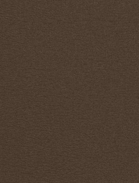 Image of MILA 11