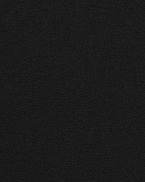 Image of MILA 2