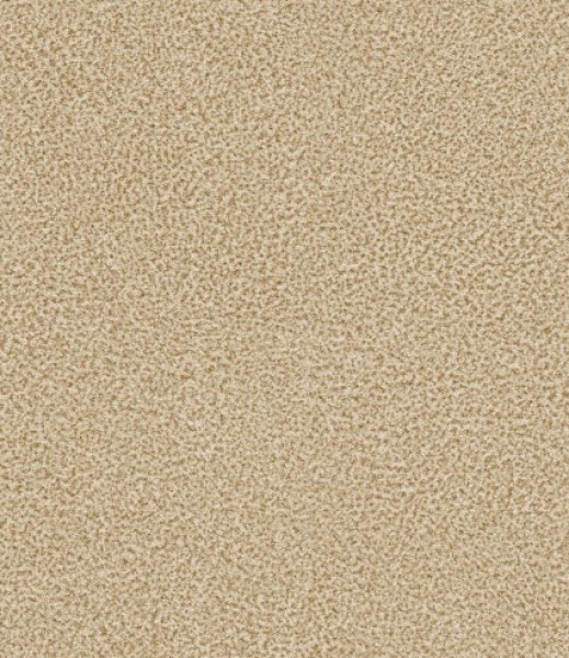 Image of NACHO 03