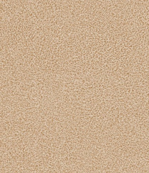 Image of NACHO 04