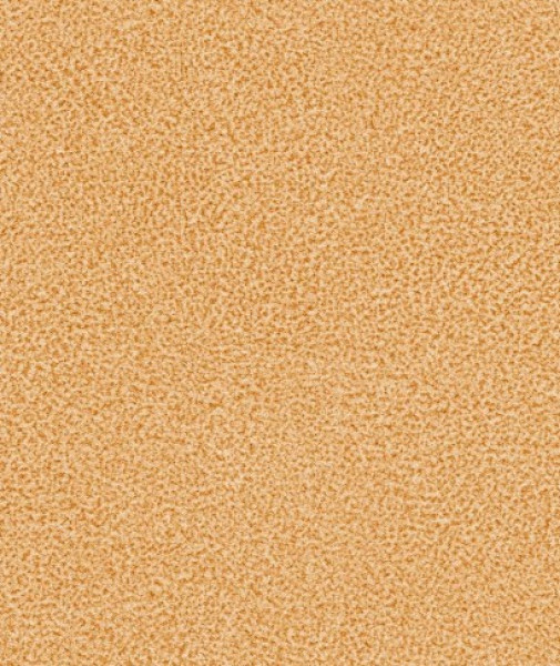 Image of NACHO 05