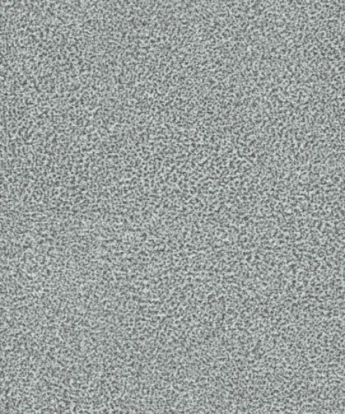 Image of NACHO 09