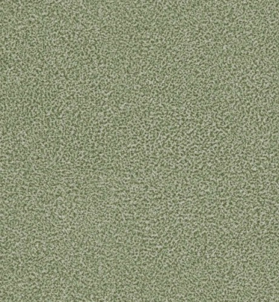 Image of NACHO 13