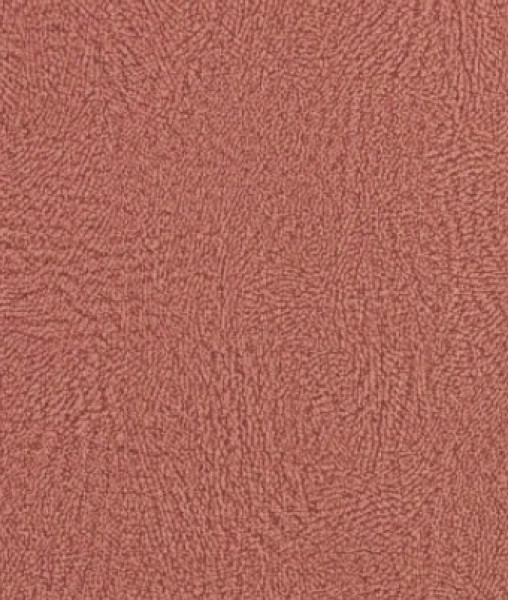 Image of NIKO 1