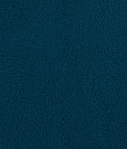 Image of NIKO 19
