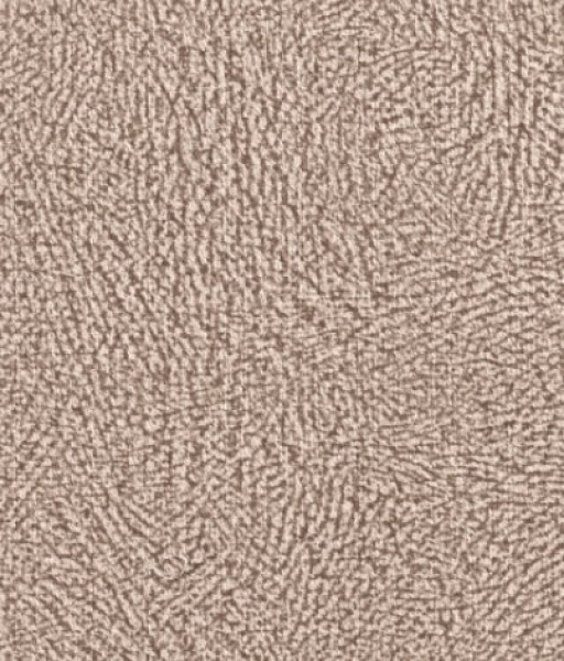 Image of NIKO 3