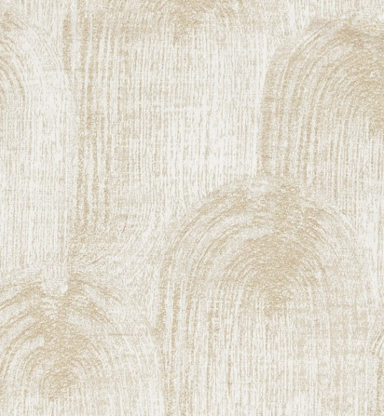 Image of NOVA 11