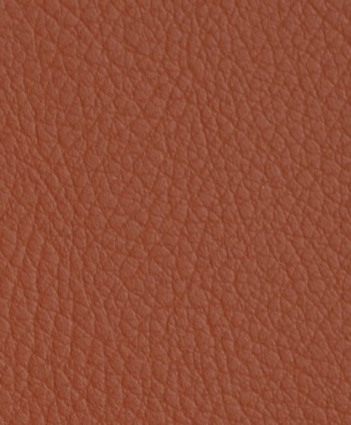 Image of PAGANI 47