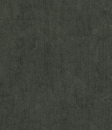 PLUTO 16