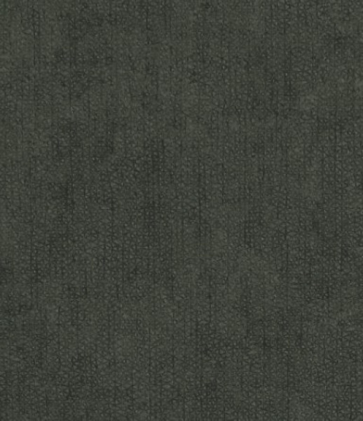 Image of PLUTO 16