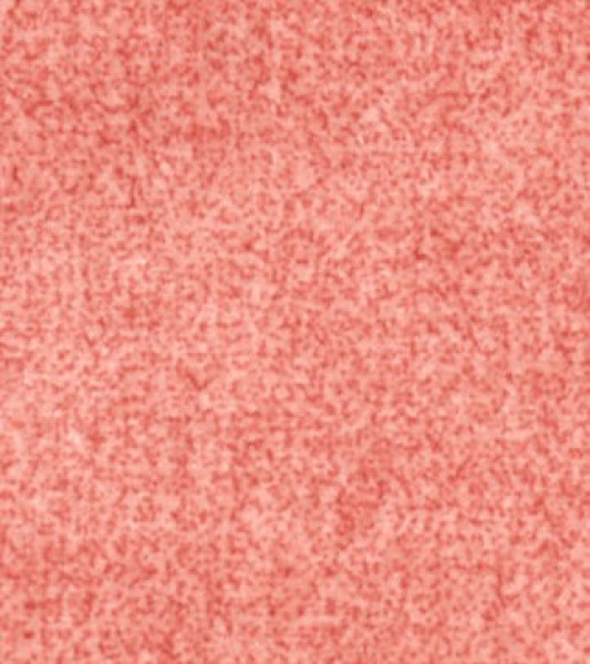 Image of POLAND 8