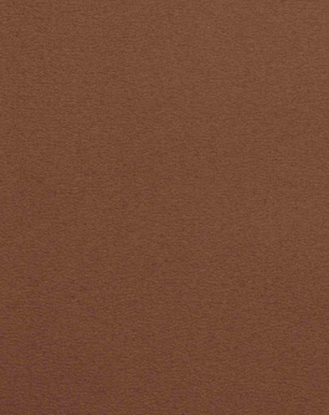 Image of POLINA 10