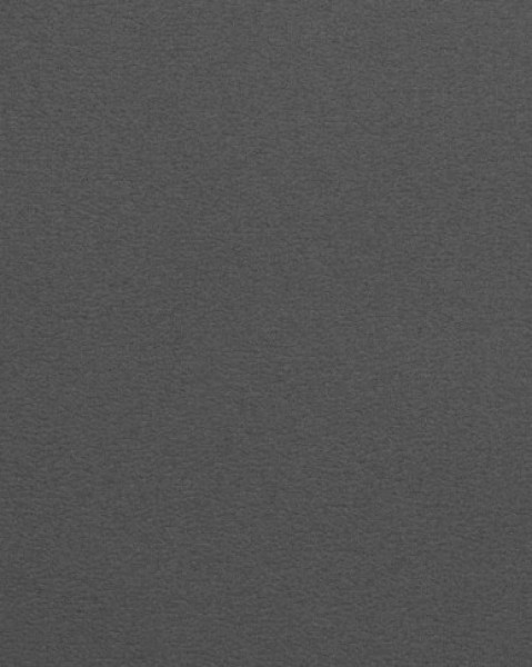 Image of POLINA 13