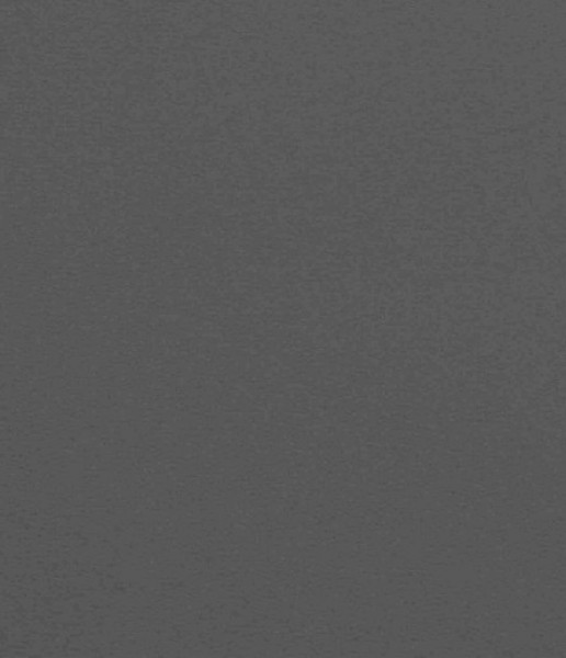 Image of POLINA 15