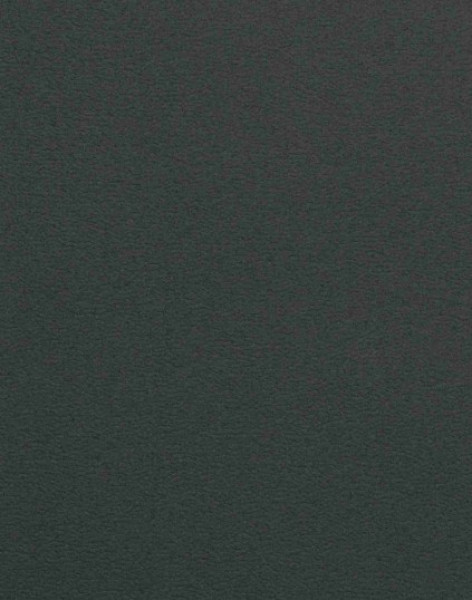 Image of POLINA 3