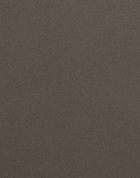 Image of POLINA 5