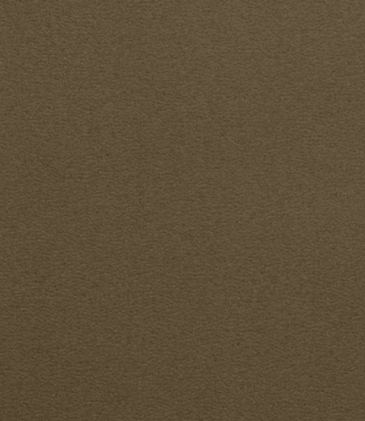 Image of POLINA 7