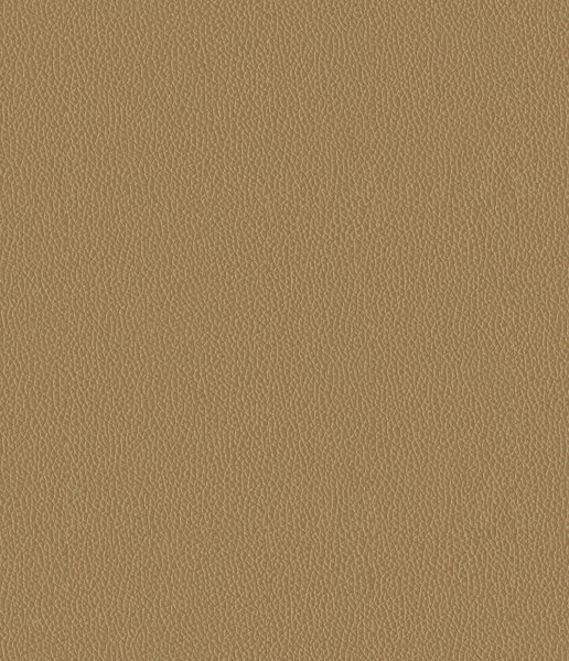 PUNAKHA-BEIGE