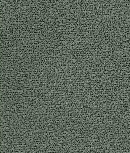 Image of RHEA 11