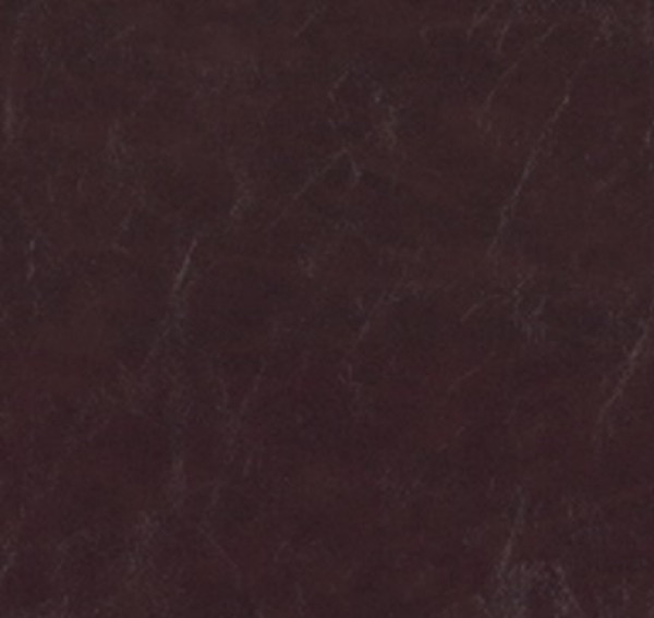Image of SHORES 10