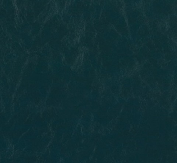 Image of SHORES 12