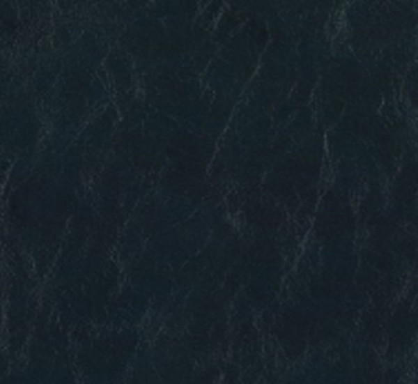 Image of SHORES 13