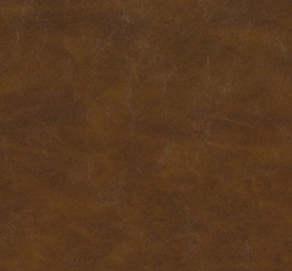Image of SHORES 22