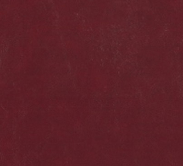 Image of SHORES 26