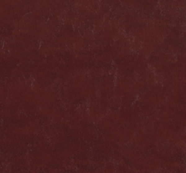 Image of SHORES 27