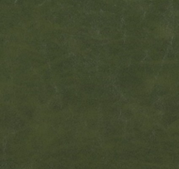 Image of SHORES 28