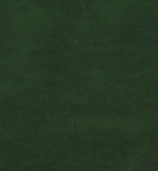 Image of SHORES 29