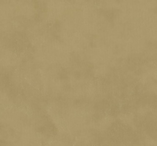 Image of SHORES 3