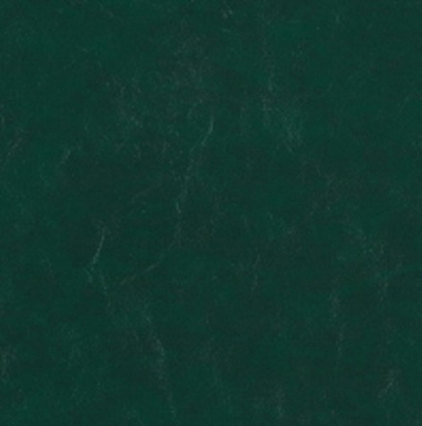 Image of SHORES 30