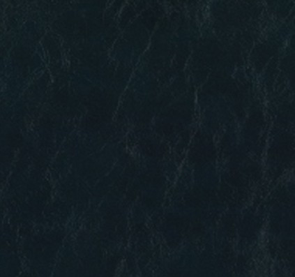 SHORES 31