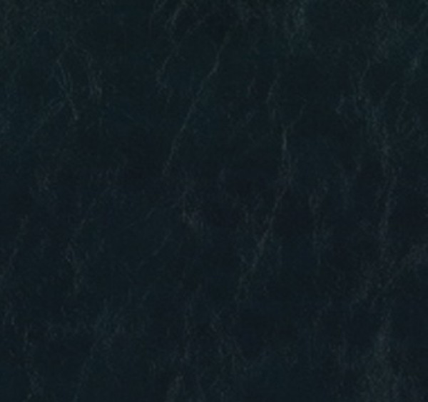Image of SHORES 31