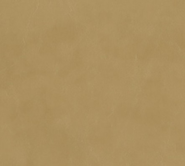 Image of SHORES 4