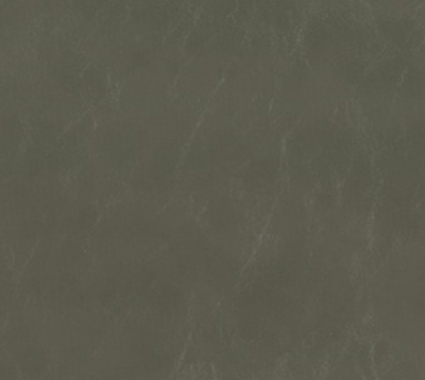 Image of SHORES 7