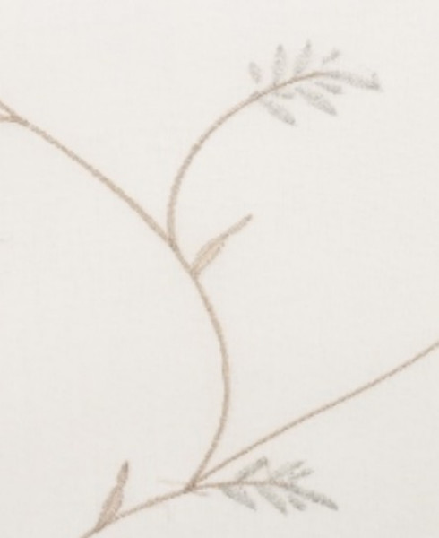 Image of SOLENE 12