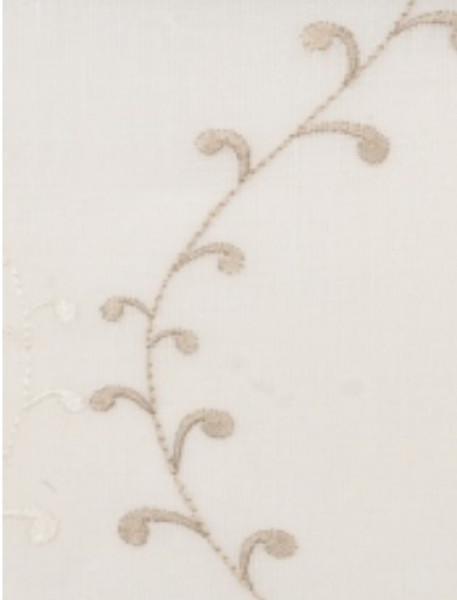 Image of SOLENE 15
