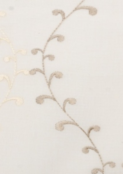 Image of SOLENE 20