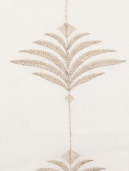 Image of SOLENE 21