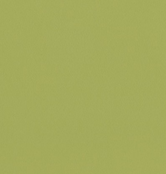 Image of VELORA 19